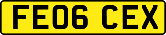FE06CEX