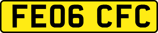 FE06CFC