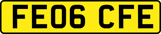 FE06CFE