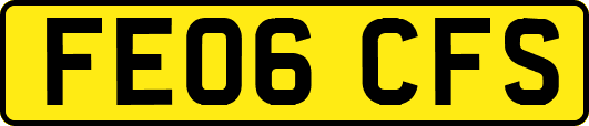 FE06CFS