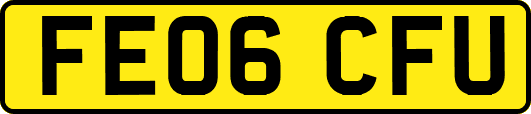 FE06CFU