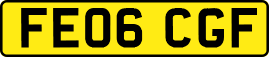 FE06CGF