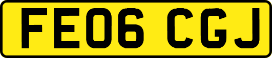 FE06CGJ