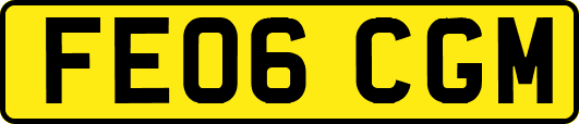FE06CGM