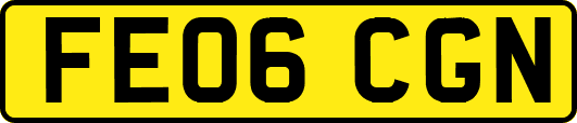 FE06CGN