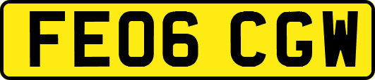 FE06CGW