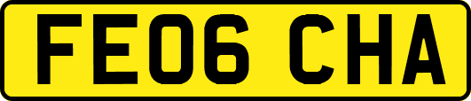 FE06CHA