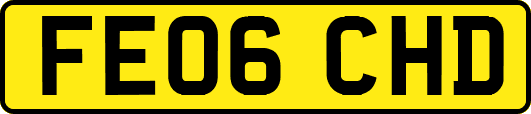 FE06CHD