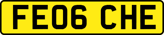 FE06CHE
