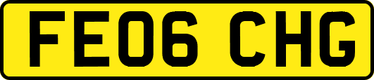 FE06CHG