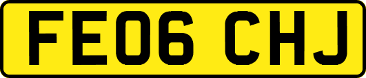 FE06CHJ
