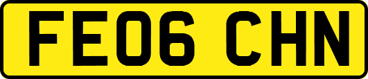 FE06CHN