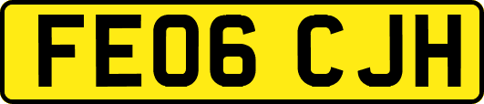 FE06CJH