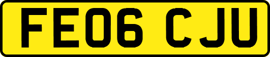 FE06CJU