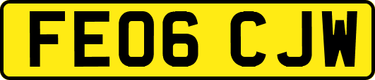 FE06CJW
