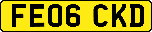 FE06CKD