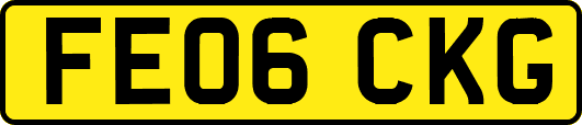 FE06CKG