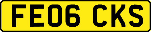FE06CKS