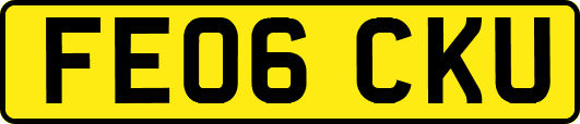 FE06CKU