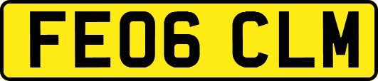 FE06CLM