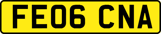 FE06CNA