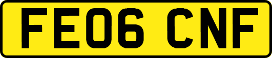 FE06CNF