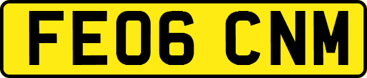 FE06CNM