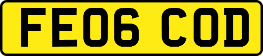 FE06COD