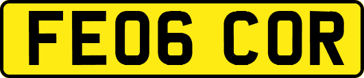 FE06COR