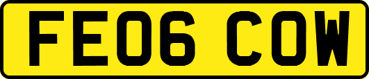 FE06COW