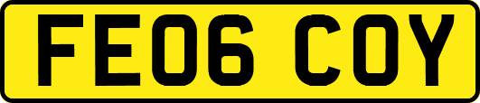 FE06COY
