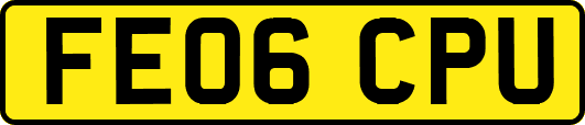 FE06CPU