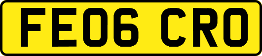 FE06CRO