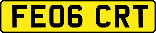 FE06CRT