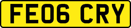 FE06CRY