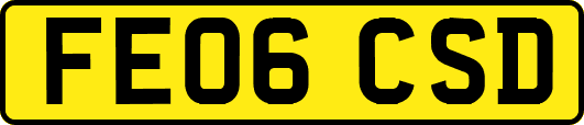FE06CSD