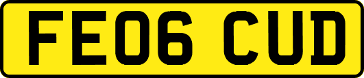 FE06CUD