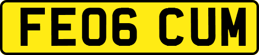 FE06CUM