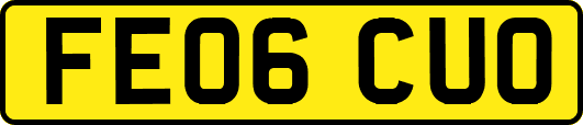 FE06CUO