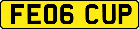FE06CUP
