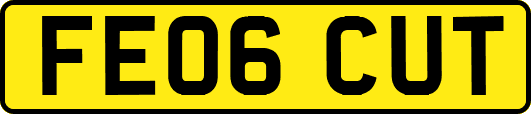 FE06CUT