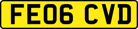 FE06CVD