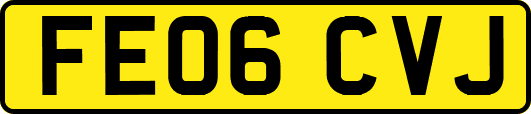 FE06CVJ