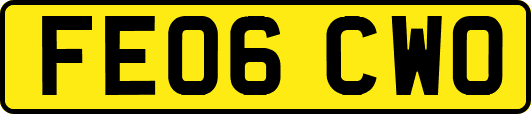 FE06CWO