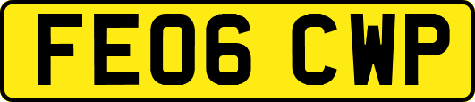 FE06CWP