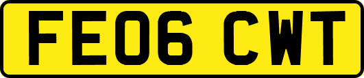 FE06CWT