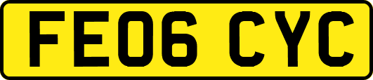 FE06CYC
