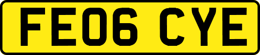 FE06CYE