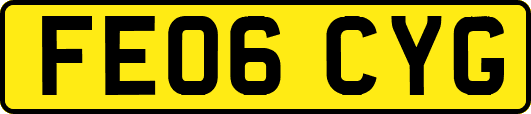 FE06CYG
