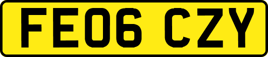 FE06CZY